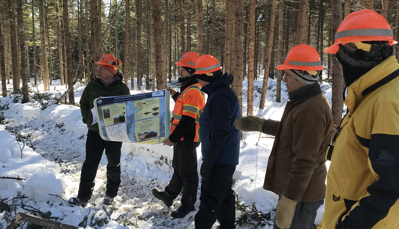 Team working in a snowy forest