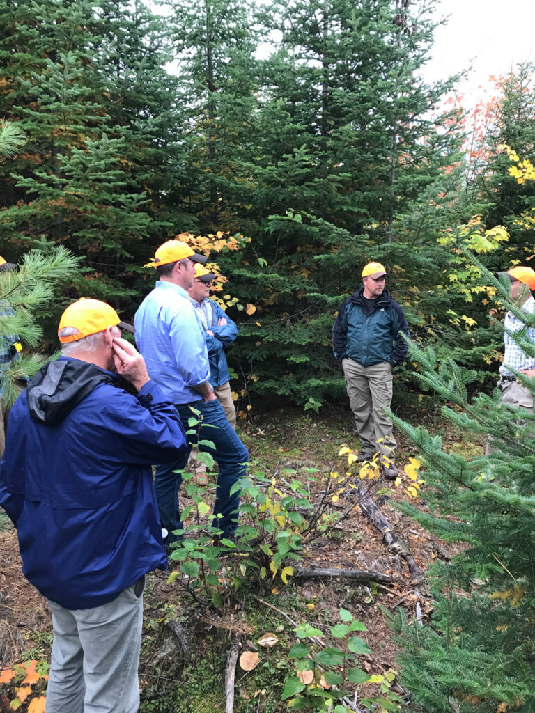 Team meeting standing in the forest