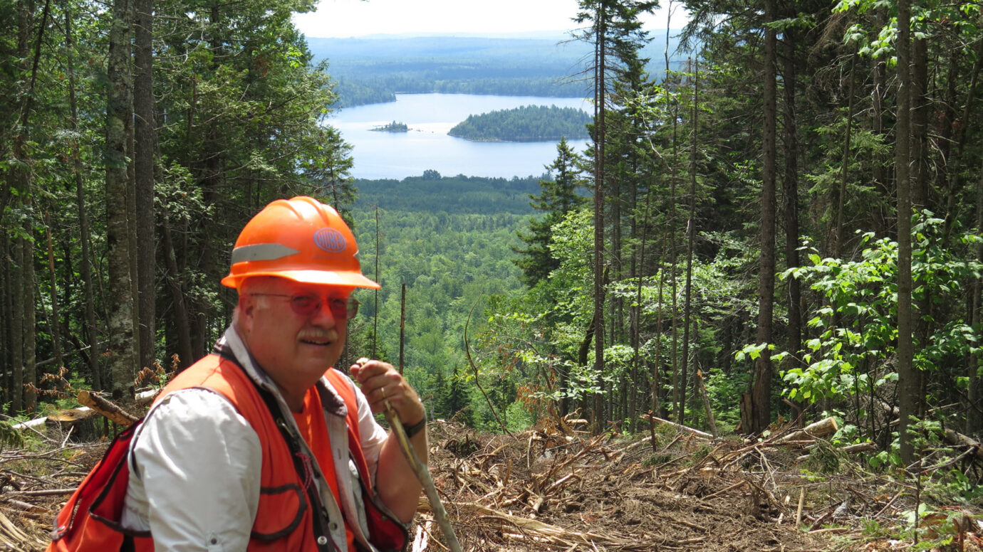 Man in front of forest landscape