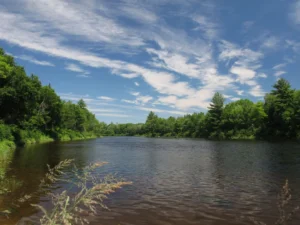 pond in the woods