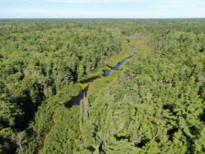 aerial view casey creek