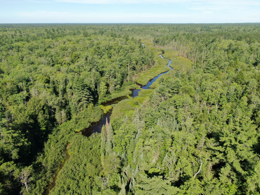aerial view casey creek