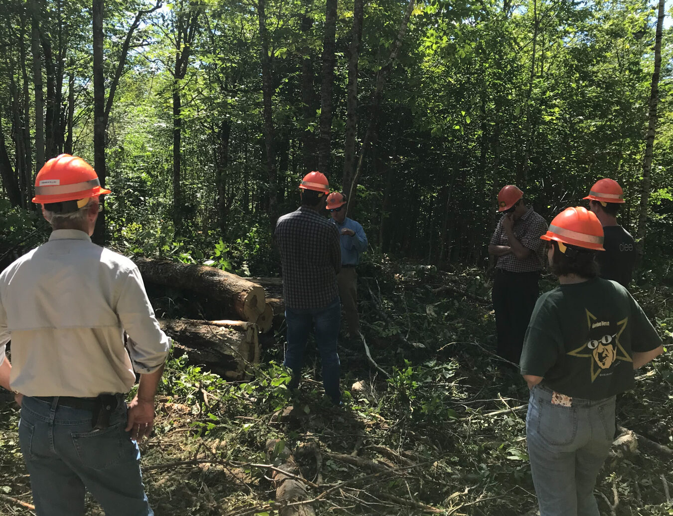 forest services team in the woods