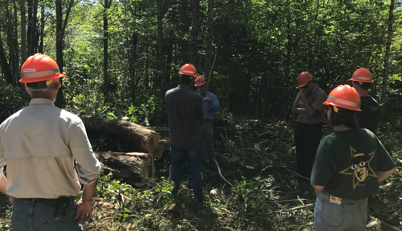 forest services team in the woods